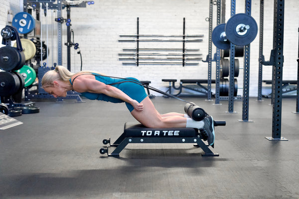 Assisted Nordic Curls